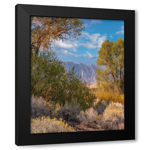 Sierra Nevada-Owens Valley-California-USA Black Modern Wood Framed Art Print by Fitzharris, Tim