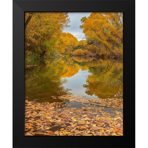 Verde River near Camp Verde-Arizona-USA Black Modern Wood Framed Art Print by Fitzharris, Tim