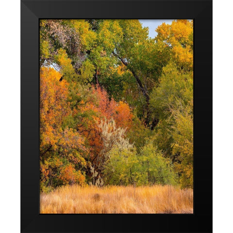 Verde River Valley near Camp Verde-Arizona-USA Black Modern Wood Framed Art Print by Fitzharris, Tim