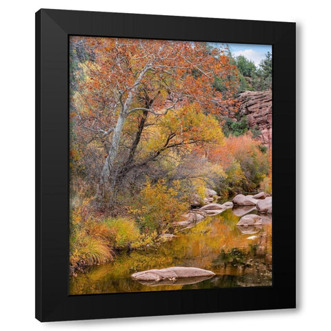 East Verde River-Arizona-USA Black Modern Wood Framed Art Print with Double Matting by Fitzharris, Tim