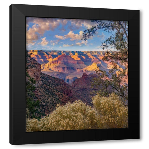 South Rim-Grand Canyon National Park-Arizona USA Black Modern Wood Framed Art Print by Fitzharris, Tim