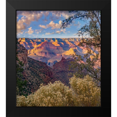 South Rim-Grand Canyon National Park-Arizona USA Black Modern Wood Framed Art Print by Fitzharris, Tim