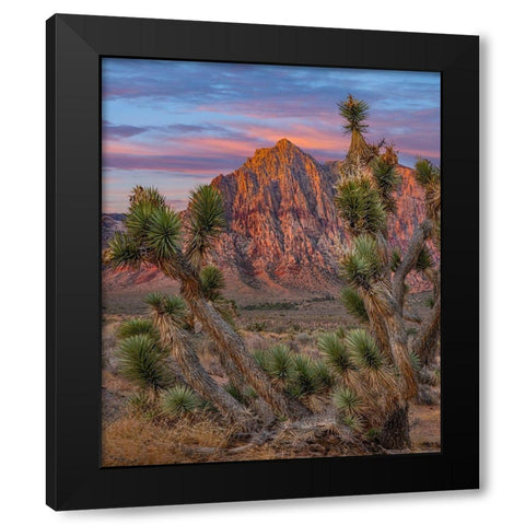 Red Rock Canyon National Conservation Area-Nevada-USA Black Modern Wood Framed Art Print with Double Matting by Fitzharris, Tim