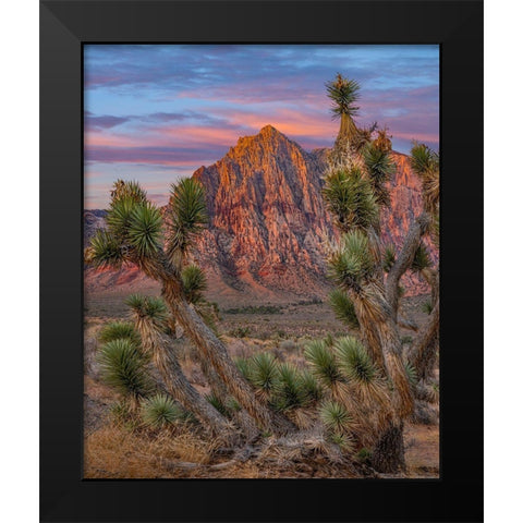 Red Rock Canyon National Conservation Area-Nevada-USA Black Modern Wood Framed Art Print by Fitzharris, Tim