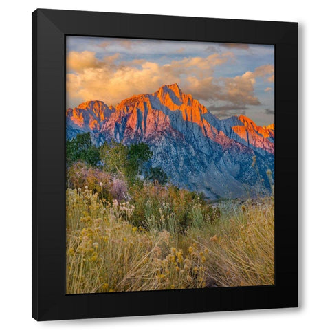 Lone Pine Peak-Eastern Sierra-California-USA Black Modern Wood Framed Art Print with Double Matting by Fitzharris, Tim