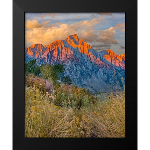 Lone Pine Peak-Eastern Sierra-California-USA Black Modern Wood Framed Art Print by Fitzharris, Tim
