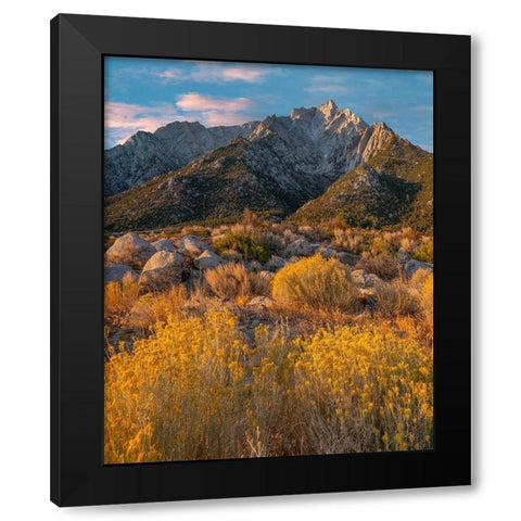 Lone Pine Peak-Eastern Sierra-California-USA Black Modern Wood Framed Art Print with Double Matting by Fitzharris, Tim