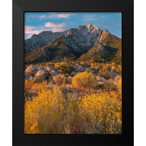 Lone Pine Peak-Eastern Sierra-California-USA Black Modern Wood Framed Art Print by Fitzharris, Tim