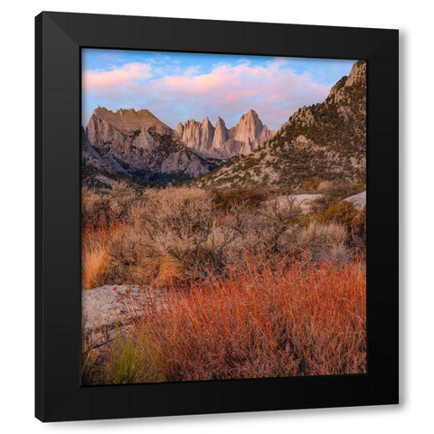 Mount Whitney-Eastern Sierra Nevada-California-USA Black Modern Wood Framed Art Print by Fitzharris, Tim