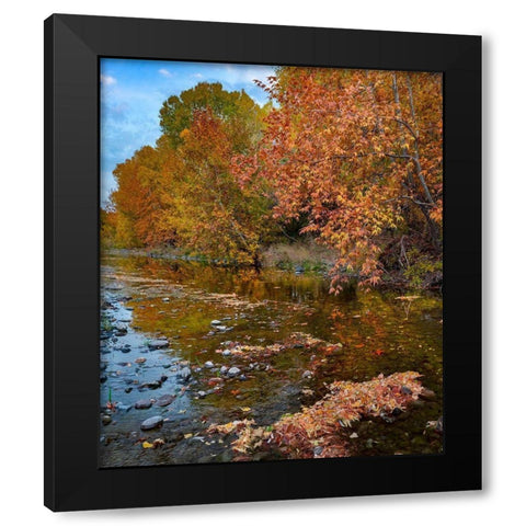 East Verde River-Arizona-USA Black Modern Wood Framed Art Print by Fitzharris, Tim