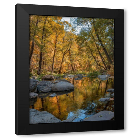 Oak Creek near Sedona-Arizona-USA Black Modern Wood Framed Art Print by Fitzharris, Tim