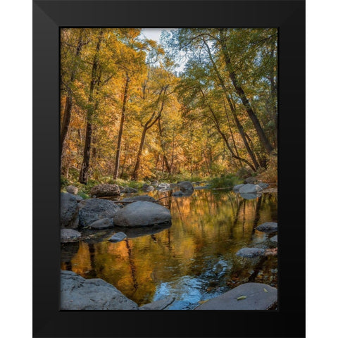 Oak Creek near Sedona-Arizona-USA Black Modern Wood Framed Art Print by Fitzharris, Tim