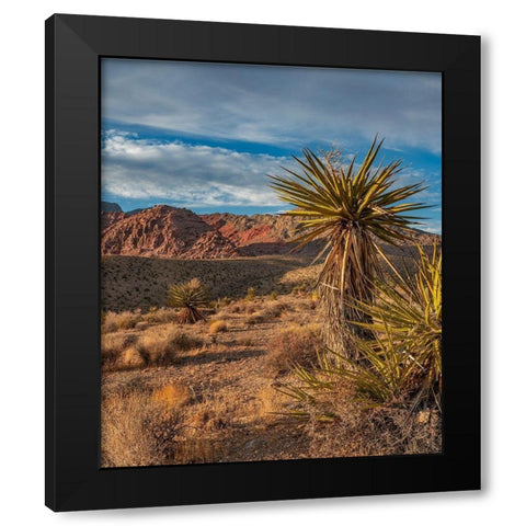 Red Rock Canyon National Conservation Area near Las Vegas-Nevada Black Modern Wood Framed Art Print by Fitzharris, Tim