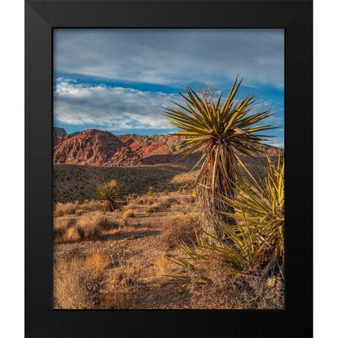 Red Rock Canyon National Conservation Area near Las Vegas-Nevada Black Modern Wood Framed Art Print by Fitzharris, Tim