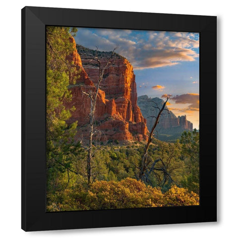 Coconino National Forest near Sedona-Arizona-USA Black Modern Wood Framed Art Print with Double Matting by Fitzharris, Tim