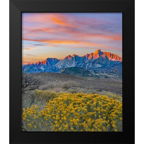 Sierra Nevada from Buttermilk Road near Bishop-California-USA Black Modern Wood Framed Art Print by Fitzharris, Tim