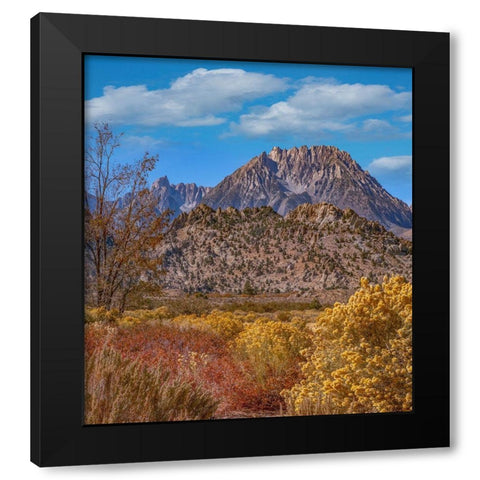 Sierra Nevada from Buttermilk Road near Bishop-California-USA Black Modern Wood Framed Art Print by Fitzharris, Tim