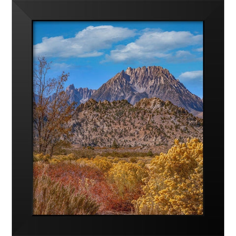 Sierra Nevada from Buttermilk Road near Bishop-California-USA Black Modern Wood Framed Art Print by Fitzharris, Tim