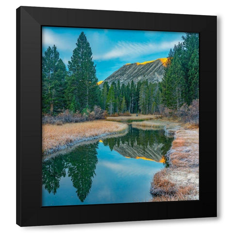 Rock Creek. Inyo National Forest-California-USA Black Modern Wood Framed Art Print with Double Matting by Fitzharris, Tim