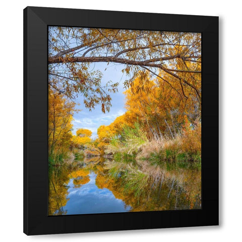 Dead Horse Ranch State Park-Arizona-USA Black Modern Wood Framed Art Print with Double Matting by Fitzharris, Tim