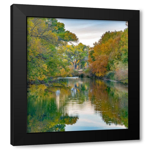 Verde River near Camp Verde-Arizona-USA Black Modern Wood Framed Art Print with Double Matting by Fitzharris, Tim