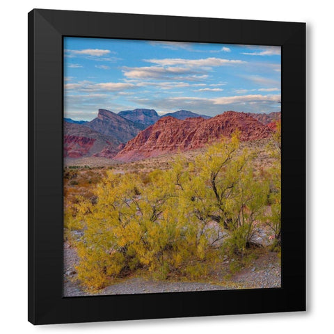 Calico Hills-Red Rock Canyon National Conservation Area-Nevada Black Modern Wood Framed Art Print by Fitzharris, Tim