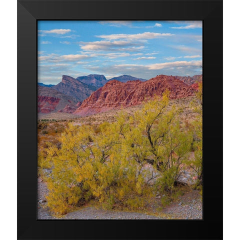 Calico Hills-Red Rock Canyon National Conservation Area-Nevada Black Modern Wood Framed Art Print by Fitzharris, Tim