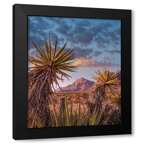 Red Rock Canyon National Conservation Area near Las Vegas-Nevada Black Modern Wood Framed Art Print with Double Matting by Fitzharris, Tim