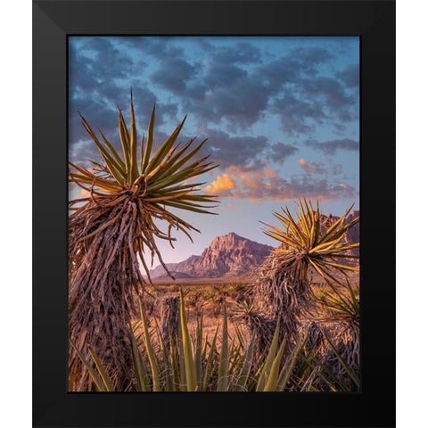 Red Rock Canyon National Conservation Area near Las Vegas-Nevada Black Modern Wood Framed Art Print by Fitzharris, Tim