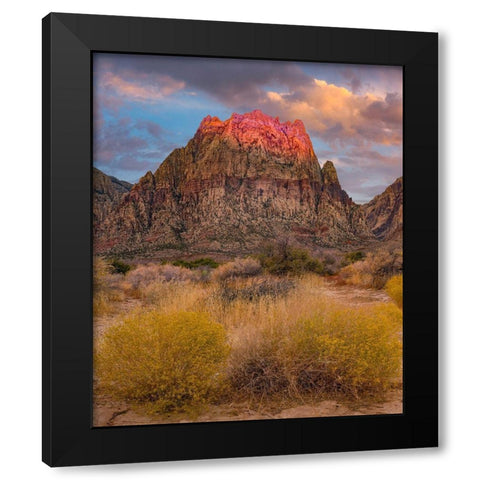 Spring Mountains-Red Rock Canyon National Conservation Area-Nevada Black Modern Wood Framed Art Print with Double Matting by Fitzharris, Tim