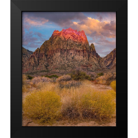 Spring Mountains-Red Rock Canyon National Conservation Area-Nevada Black Modern Wood Framed Art Print by Fitzharris, Tim