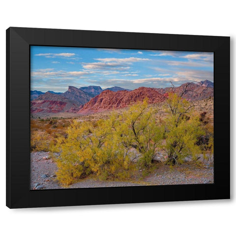 Spring Mountains-Red Rock Canyon National Conservation Area-Nevada Black Modern Wood Framed Art Print with Double Matting by Fitzharris, Tim