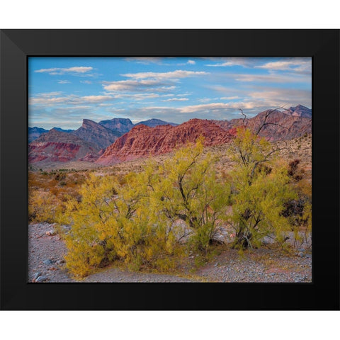 Spring Mountains-Red Rock Canyon National Conservation Area-Nevada Black Modern Wood Framed Art Print by Fitzharris, Tim