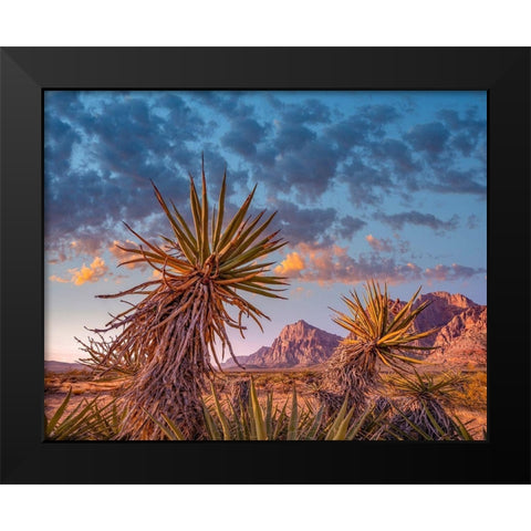 Red Rock Canyon National Conservation Area near Las Vegas-Nevada Black Modern Wood Framed Art Print by Fitzharris, Tim