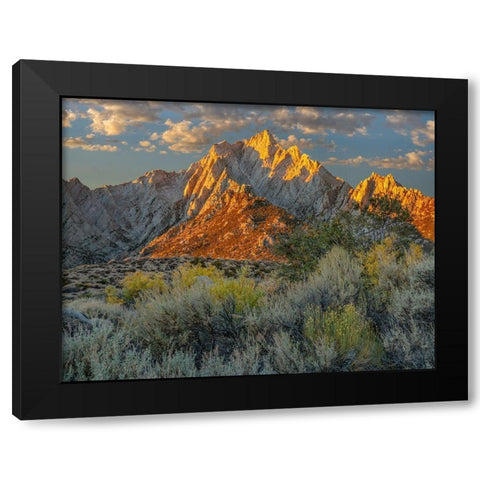 Lone Pine Peak from Tuttle Creek-Sierra Nevada-California-USA  Black Modern Wood Framed Art Print with Double Matting by Fitzharris, Tim