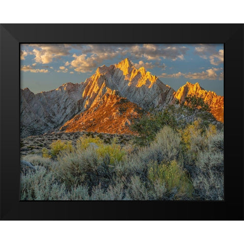 Lone Pine Peak from Tuttle Creek-Sierra Nevada-California-USA  Black Modern Wood Framed Art Print by Fitzharris, Tim