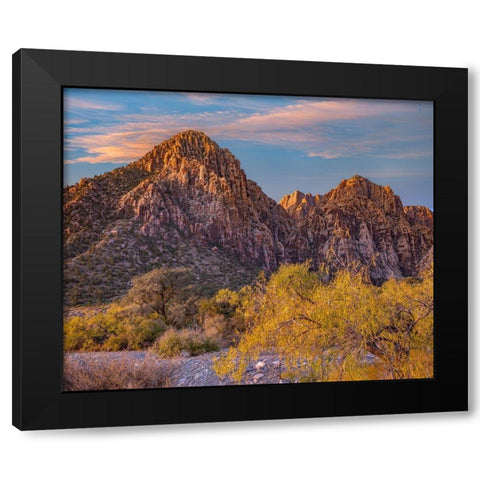 Willows and Wash-Red Rock Canyon-Nevada Black Modern Wood Framed Art Print with Double Matting by Fitzharris, Tim