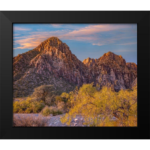 Willows and Wash-Red Rock Canyon-Nevada Black Modern Wood Framed Art Print by Fitzharris, Tim