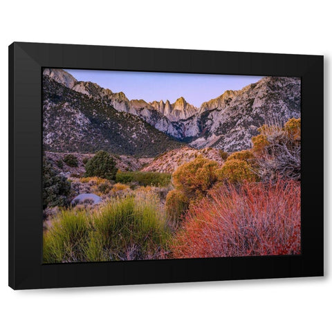 Mount Whitney-Sequoia National Park Inyo-National Forest-California Black Modern Wood Framed Art Print by Fitzharris, Tim