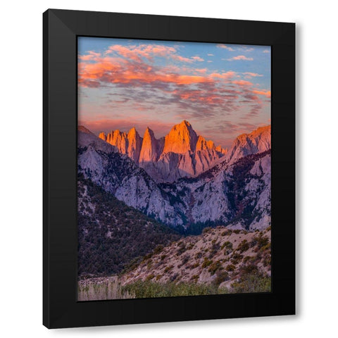 Mount Whitney-Sequoia National Park Inyo-National Forest-California Black Modern Wood Framed Art Print with Double Matting by Fitzharris, Tim