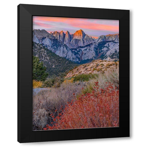 Mount Whitney-Sequoia National Park Inyo-National Forest-California Black Modern Wood Framed Art Print with Double Matting by Fitzharris, Tim