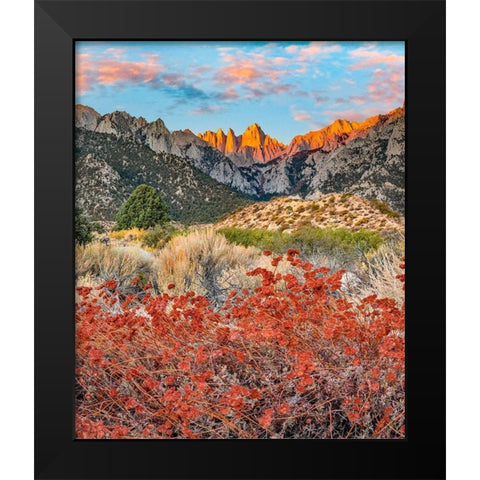 Mount Whitney-Sequoia National Park Inyo-National Forest-California Black Modern Wood Framed Art Print by Fitzharris, Tim