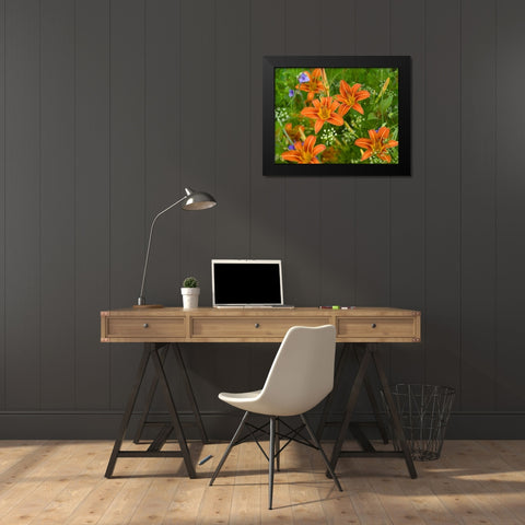 Wild Daylillies I Black Modern Wood Framed Art Print by Fitzharris, Tim