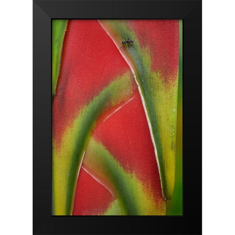 Ant on Heleconia I Black Modern Wood Framed Art Print by Fitzharris, Tim