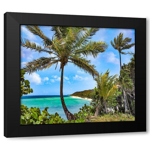 Coconut Trees and Camp Bay in Distance Black Modern Wood Framed Art Print by Fitzharris, Tim