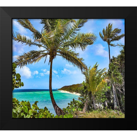 Coconut Trees and Camp Bay in Distance Black Modern Wood Framed Art Print by Fitzharris, Tim