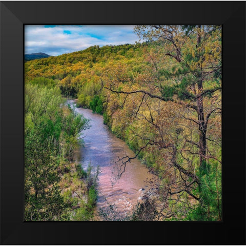 Mulberry National Wild and Scenic River Black Modern Wood Framed Art Print by Fitzharris, Tim