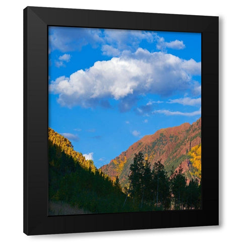 White River National Forest Black Modern Wood Framed Art Print by Fitzharris, Tim