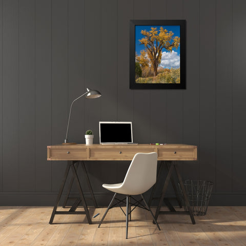 Chamisas and Cottonwood Trees Black Modern Wood Framed Art Print by Fitzharris, Tim