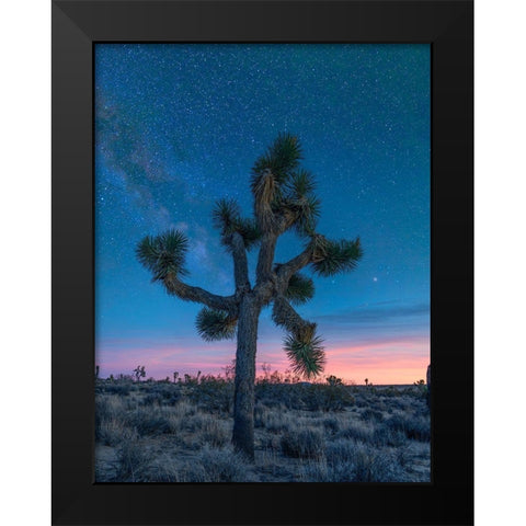 Milky Way at Joshua Tree National Park Black Modern Wood Framed Art Print by Fitzharris, Tim